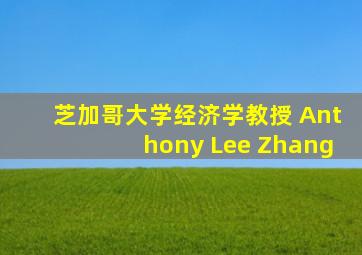 芝加哥大学经济学教授 Anthony Lee Zhang